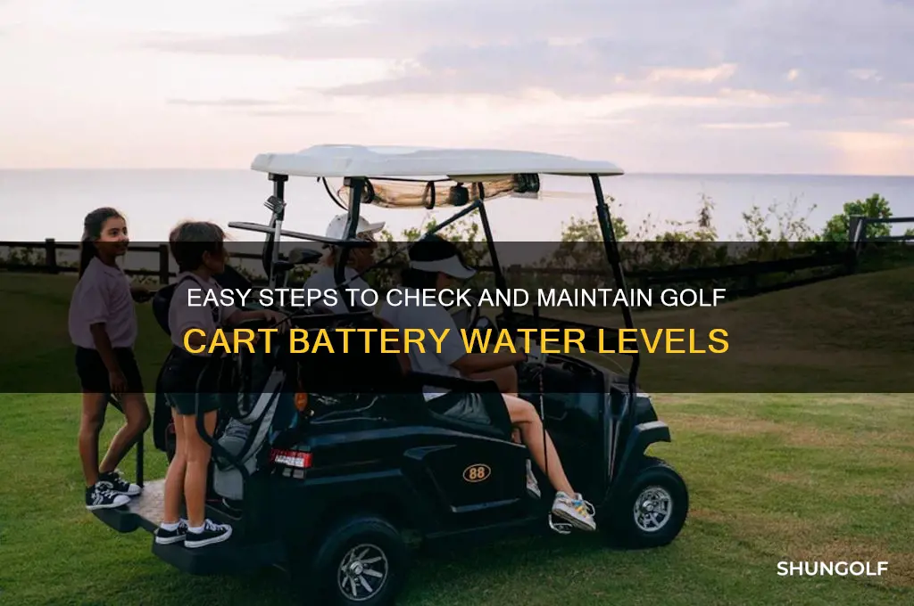 how to check golf cart battery water