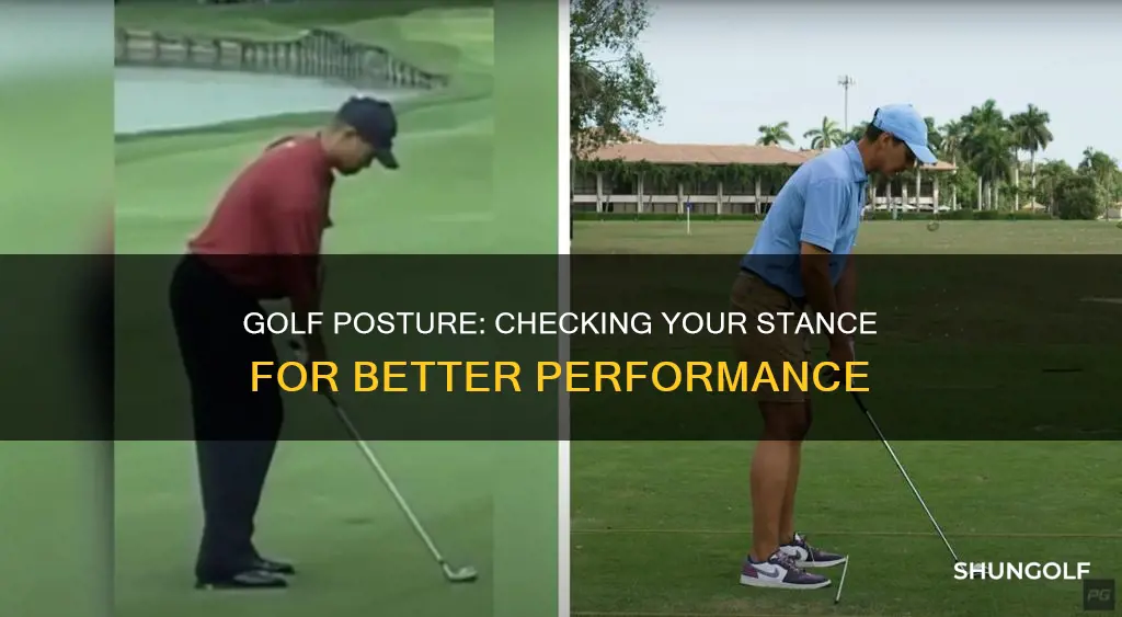 how to check golf posture