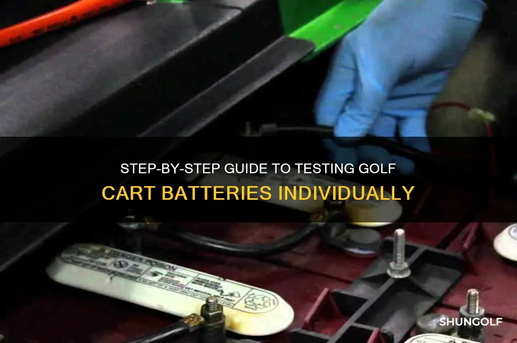 how to check individual batteries in golf cart