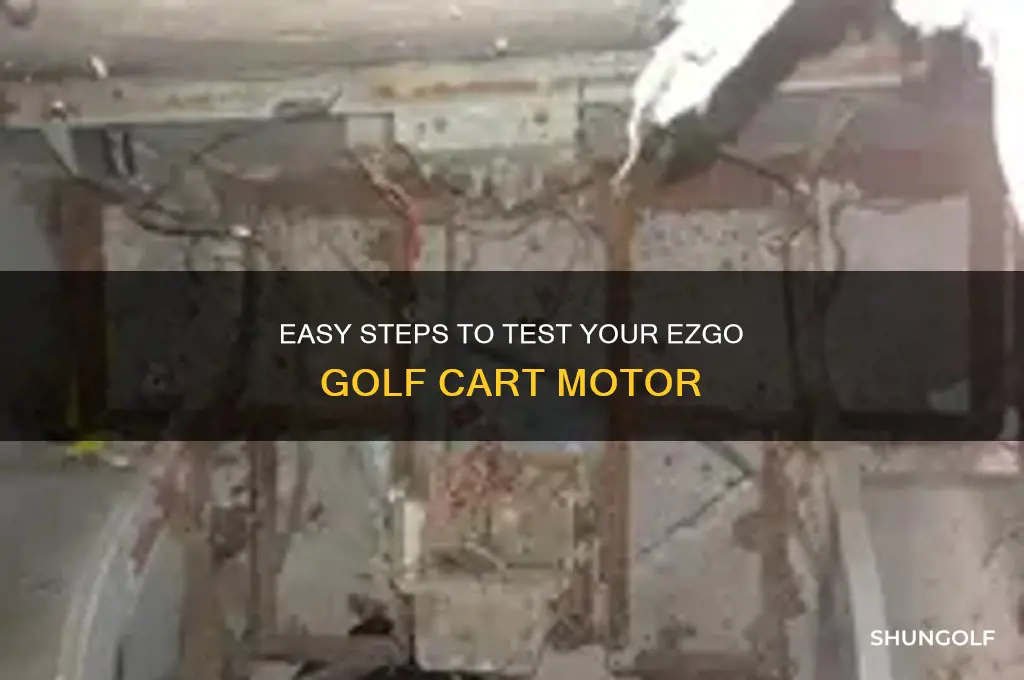 how to check motor on ezgo golf cart