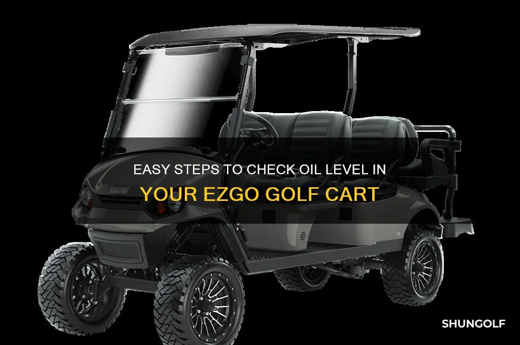 how to check oil level in a ezgo golf cart
