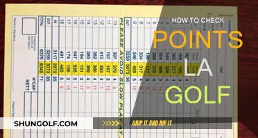 Golf: Mastering the Art of Checking Points