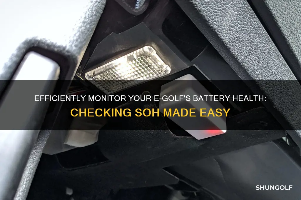 how to check soh on e-golf