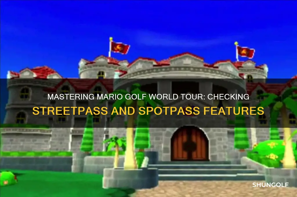 how to check streetpass spotpass on mario golf world tour