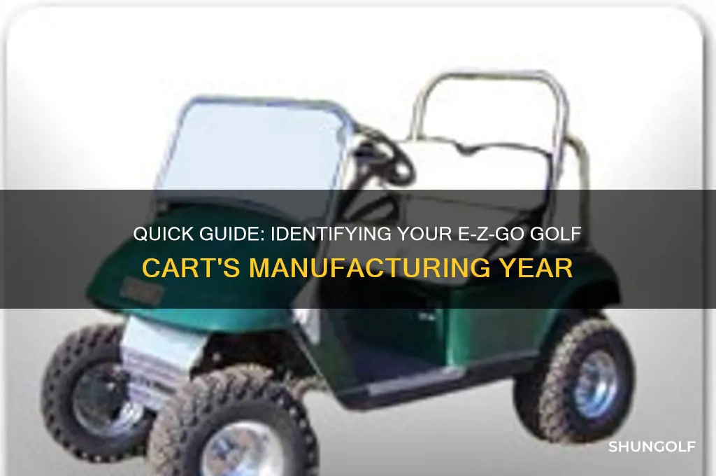 how to check the year of a ezgo golf cart