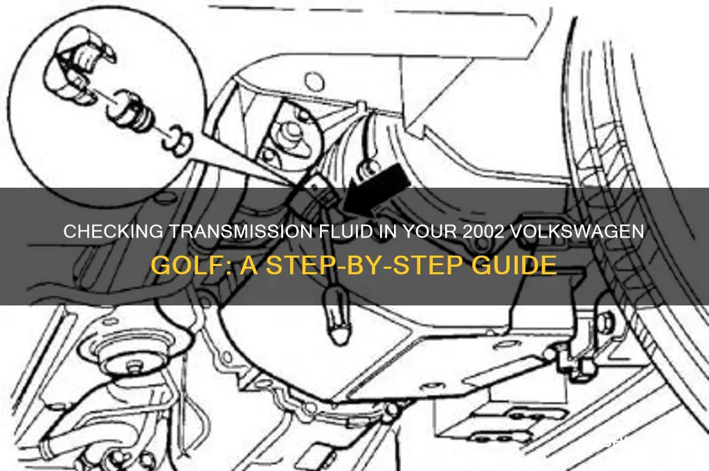 how to check transmission fluid on 2002 volkswagen golf