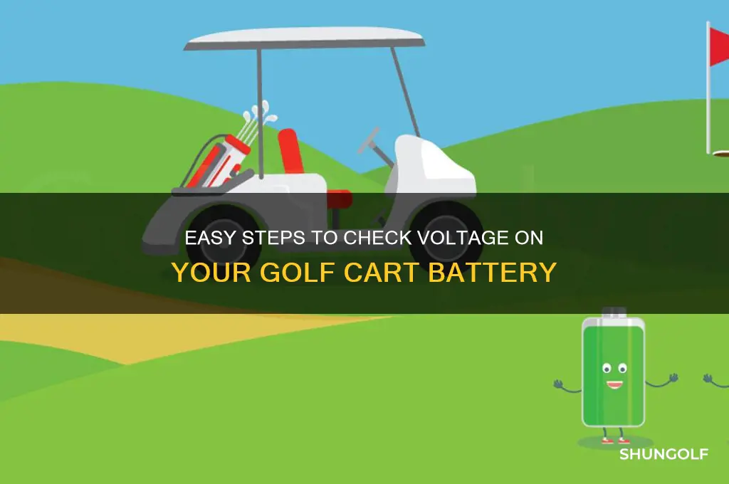 how to check voltae on my golf cart