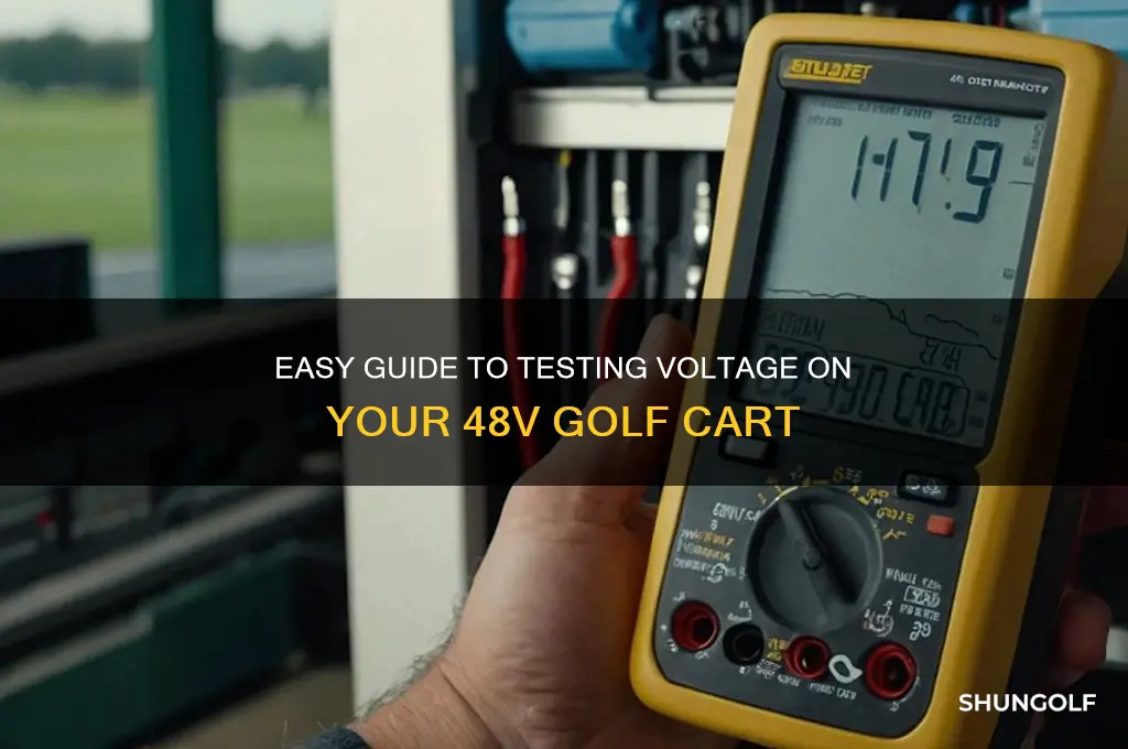 how to check voltage on 48 volt golf cart