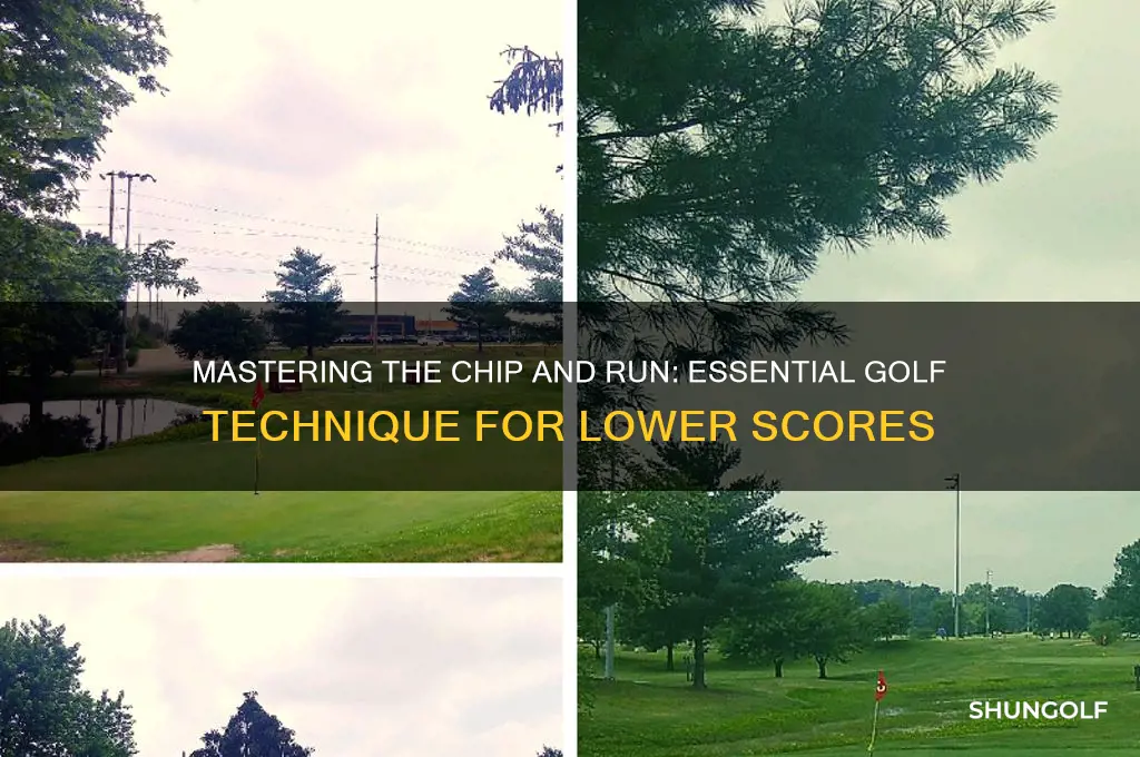 how to chip and run in golf