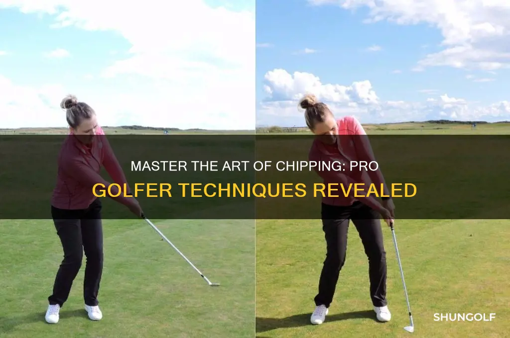 how to chip like a pro golfer