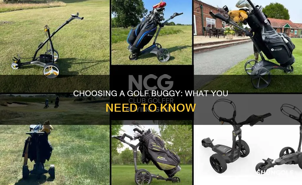 how to choose a golf buggy