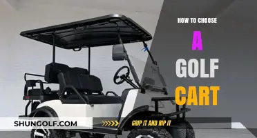 Essential Tips for Selecting the Perfect Golf Cart for You