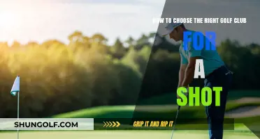 Master Your Swing: Selecting the Perfect Golf Club for Every Shot