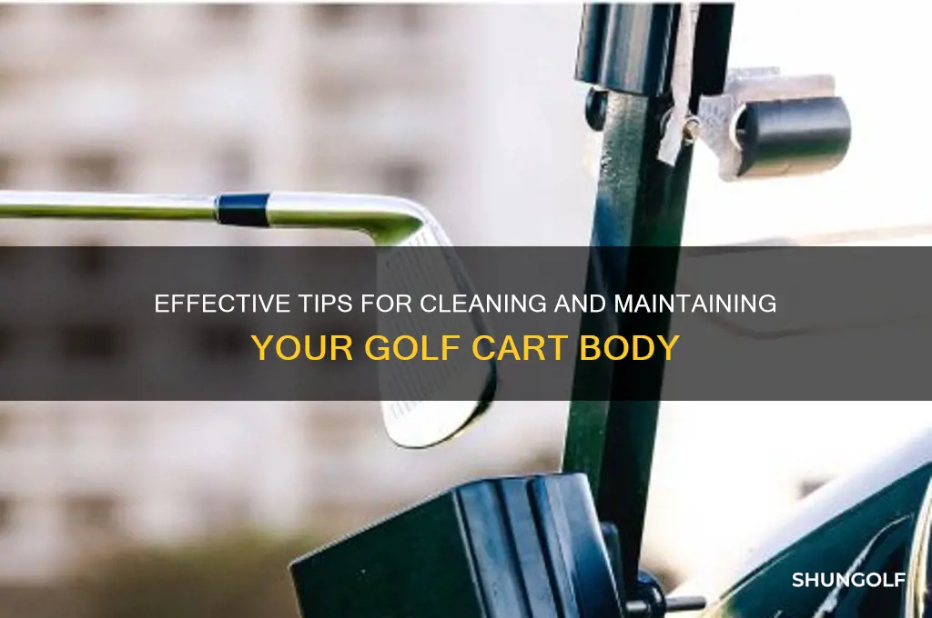 how to clean a golf cart body