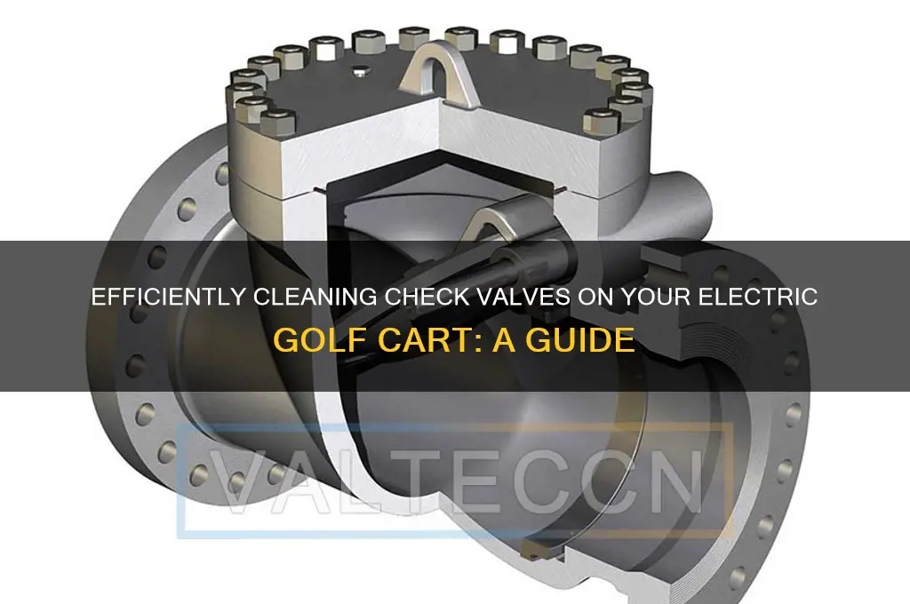 how to clean check valves on electric golf carts