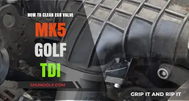 Efficiently Clean Your MK5 Golf TDI EGR Valve: Step-by-Step Guide