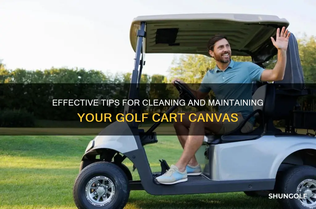 how to clean golf cart canvas