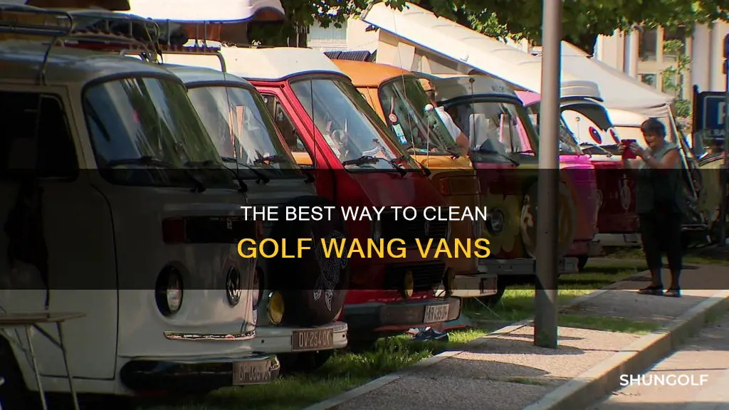 how to clean golf wang vans