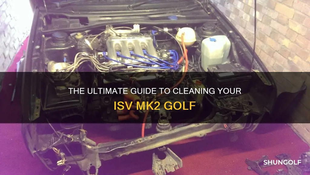 how to clean isv mk2 golf