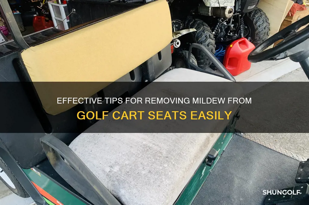 how to clean mildew from golf cart seats