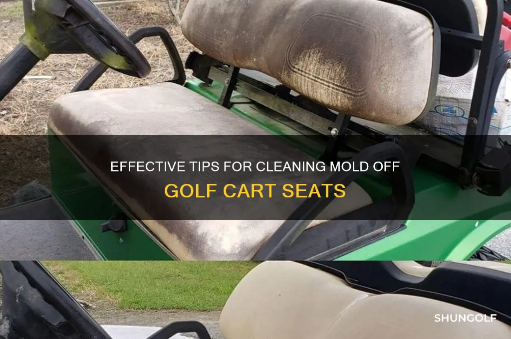 how to clean mold golf cart seats