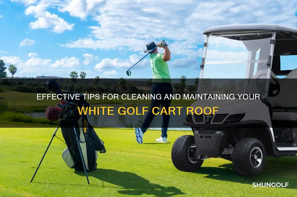 how to clean white golf cart rooff