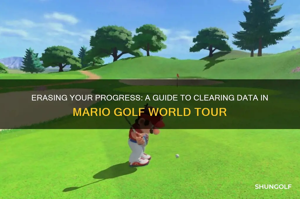how to clear data off mario golf world tour