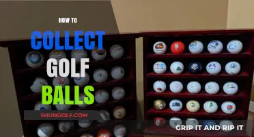 A Golfer's Guide: Efficiently Collecting Golf Balls on the Course