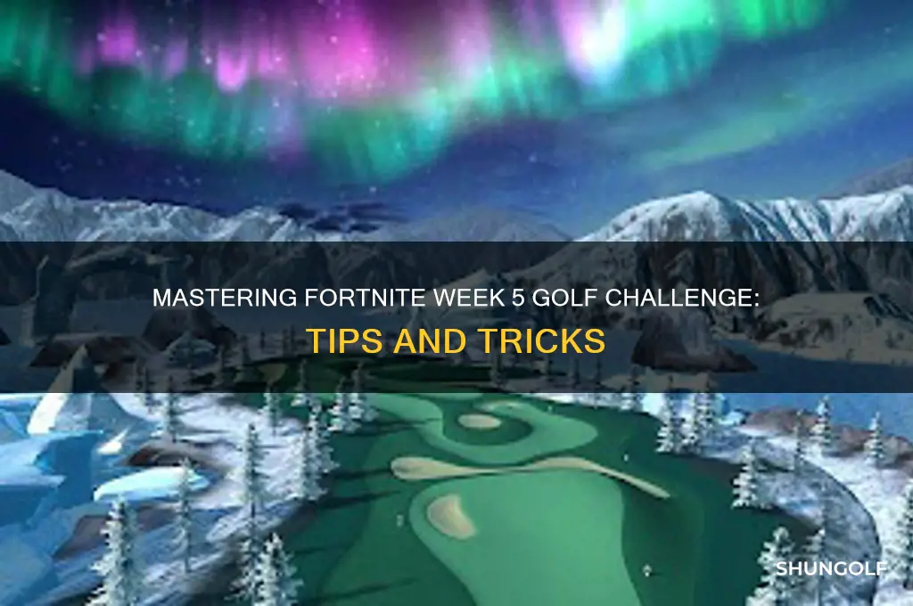 how to complete fortnite week 5 golf challenge