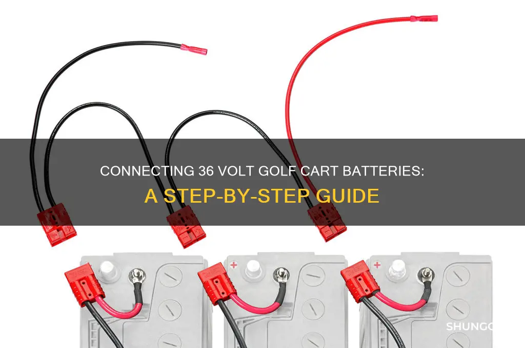 how to connect 36 volt golf cart batteries