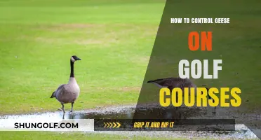 Effective Geese Management Strategies for Maintaining Pristine Golf Courses