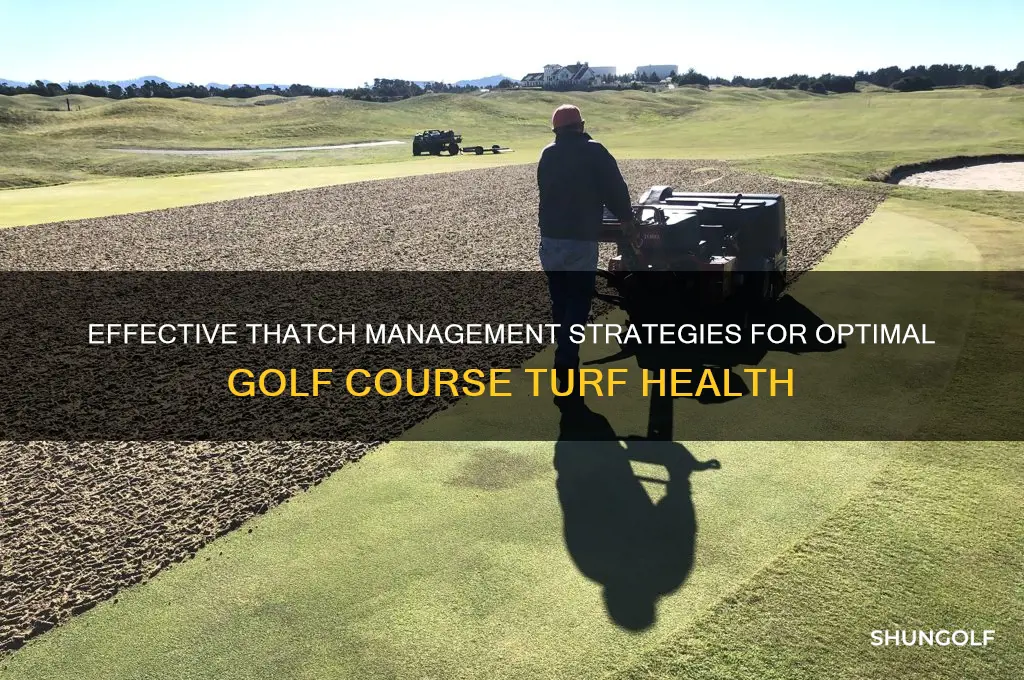 how to control thatch on a golf course