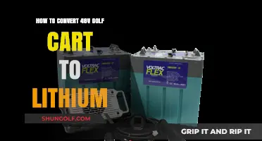 Upgrade Your Golf Cart: 48V Lithium Conversion Guide for Efficiency