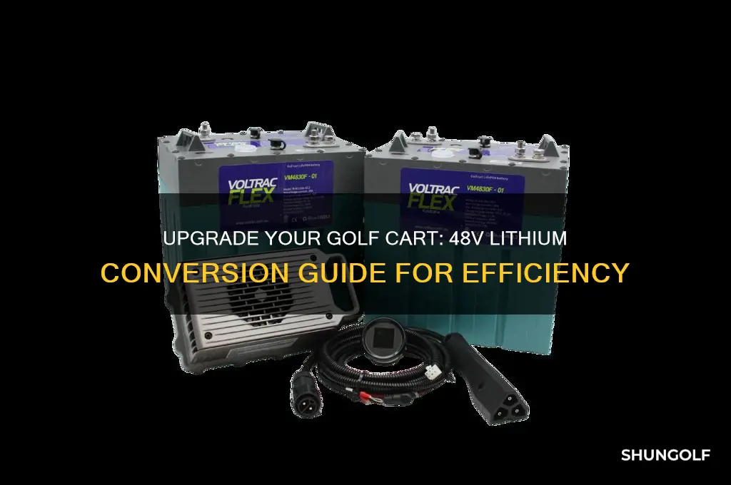 how to convert 48v golf cart to lithium