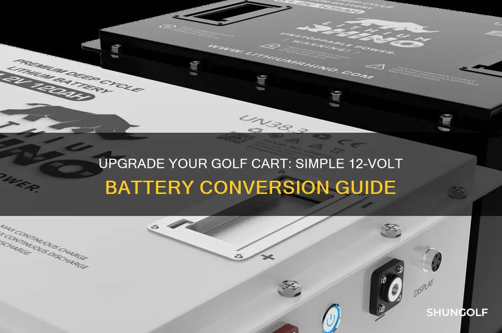 how to convert golf cart to 12 volt batteries