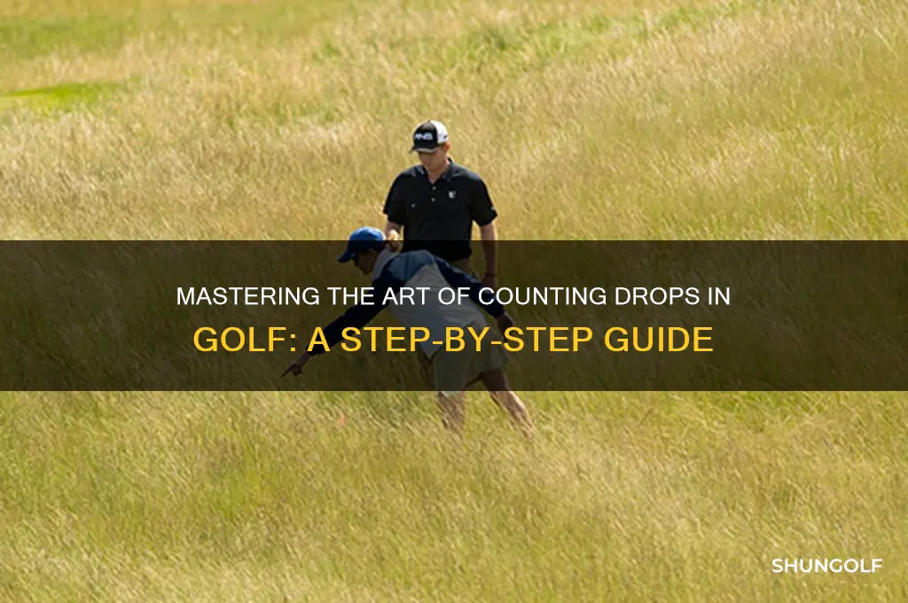 how to count a drop in golf