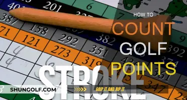 Golf Point System: Understanding the Scoring Rules