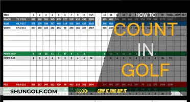 Golf Counting: The Scoring System Explained