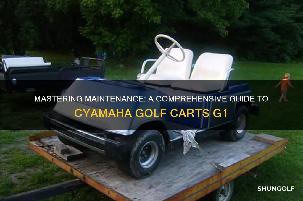how to cyamaha golf carts g1