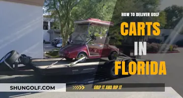 Efficient Golf Cart Delivery Strategies for Florida's Unique Landscape