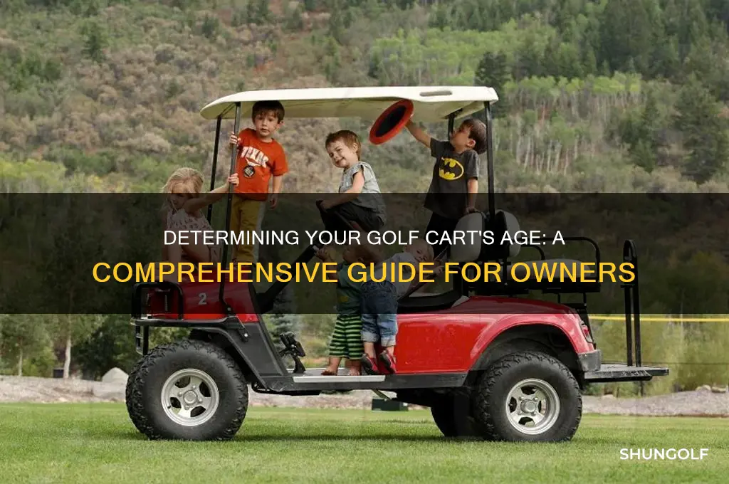 how to determine age of golf cart