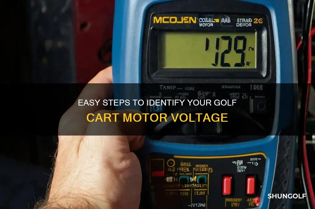 how to determine golf cart motor voltage