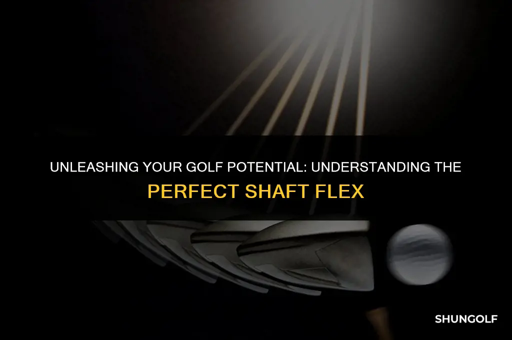 how to determine golf shaft flex