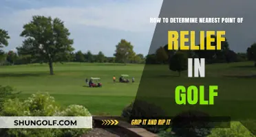 Mastering Golf Relief: Locating the Nearest Point Effectively