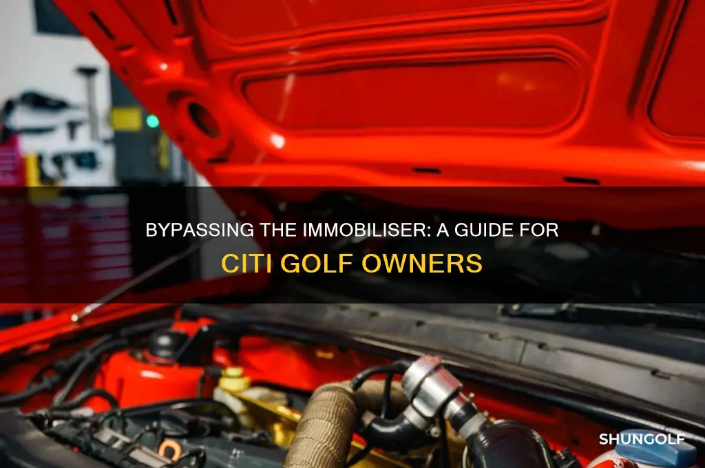 how to disconnect immobiliser on citi golf