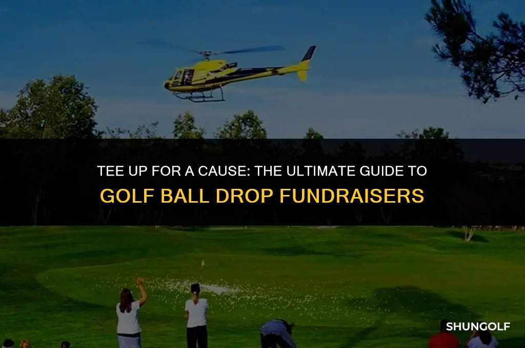 how to do a golf ball drop fundraiser