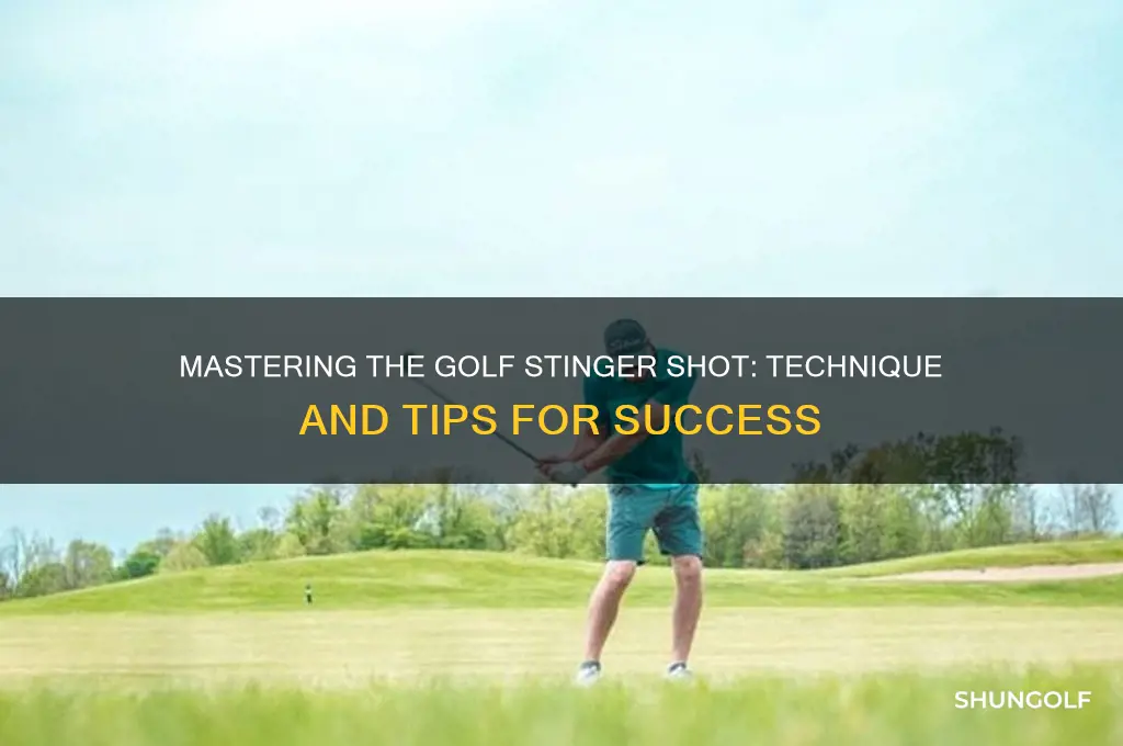 how to do a stinger in golf