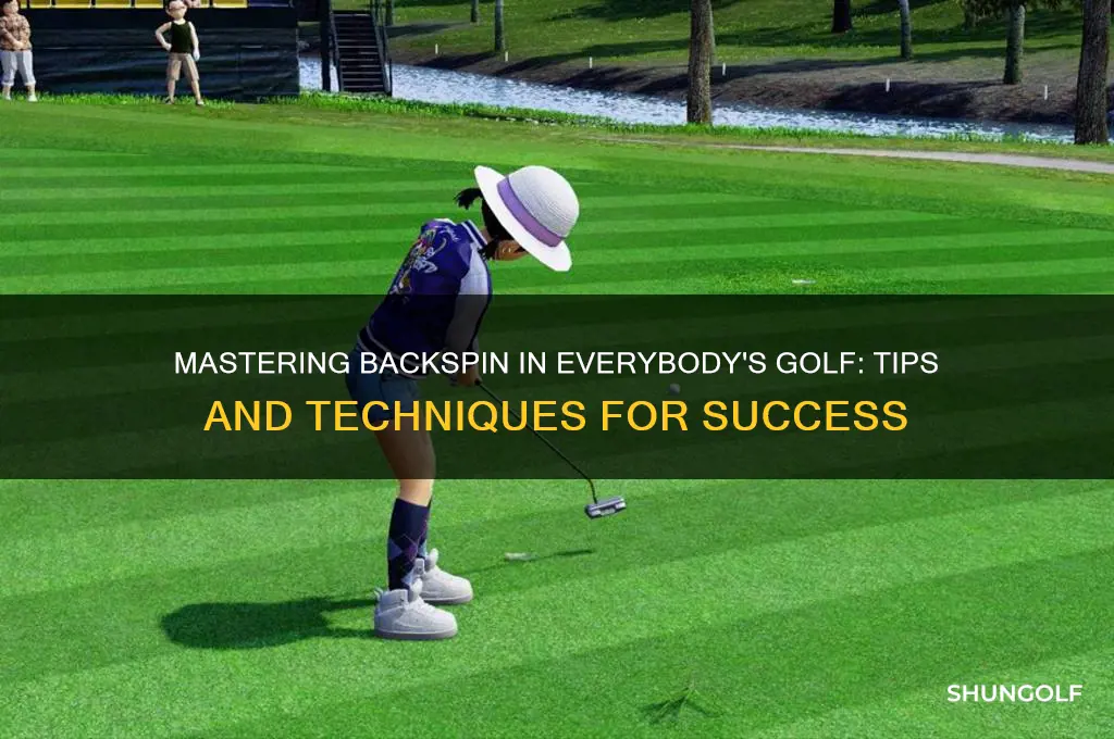 how to do backspin in everybody