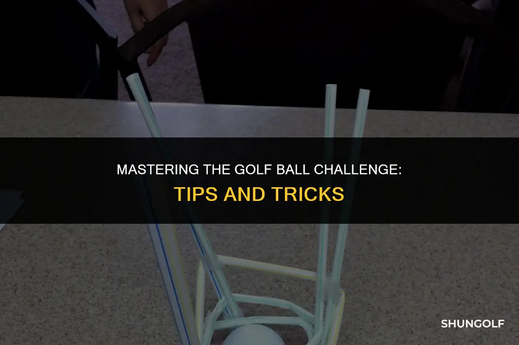 how to do golf ball challenge