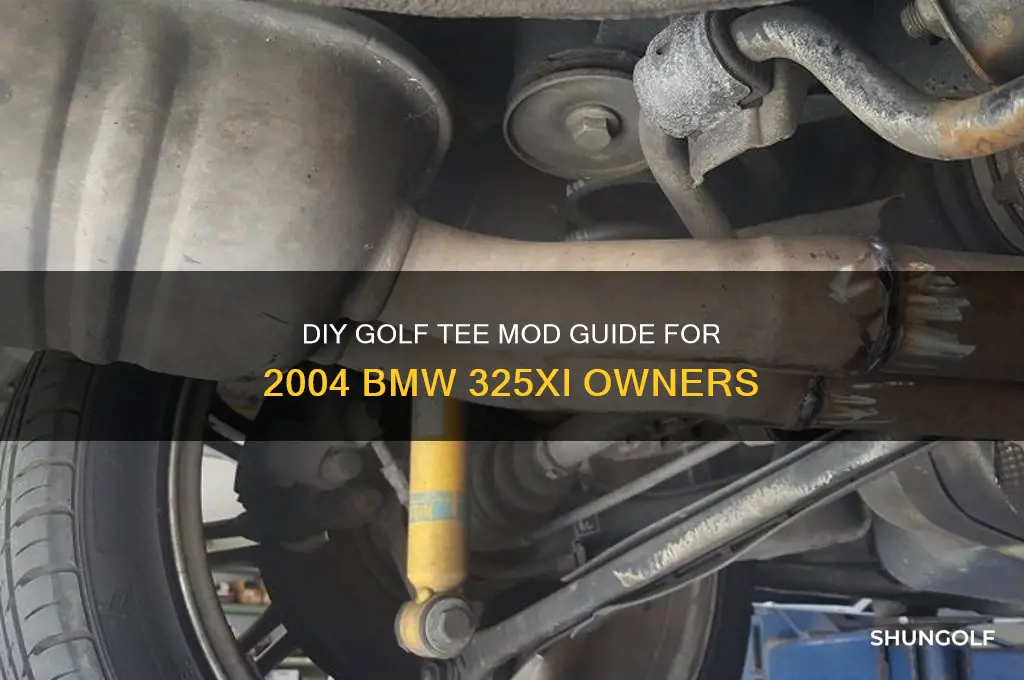 how to do golf tee mod 2004 325xi